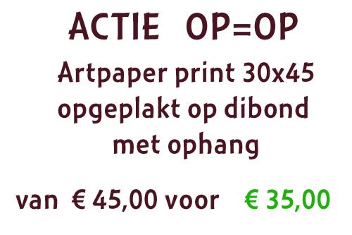 actie dibond
